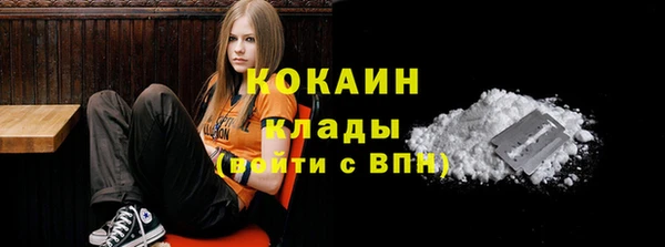 ешки Аркадак