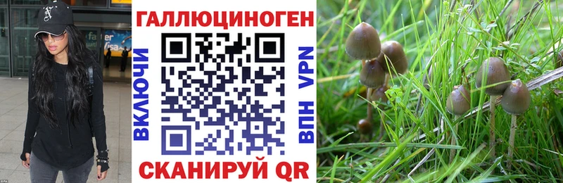 Псилоцибиновые грибы Cubensis  купить закладку  omg ссылки  Сенгилей 