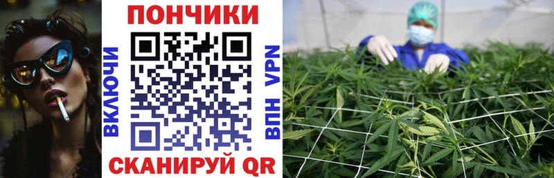 сколько стоит  OMG зеркало  Марихуана Ganja  Сенгилей 